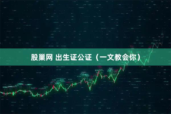 股巢网 出生证公证(一文教会你)