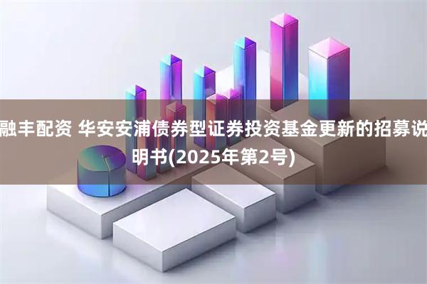 融丰配资 华安安浦债券型证券投资基金更新的招募说明书(2025年第2号)