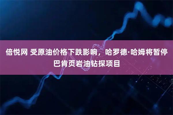倍悦网 受原油价格下跌影响，哈罗德·哈姆将暂停巴肯页岩油钻探项目
